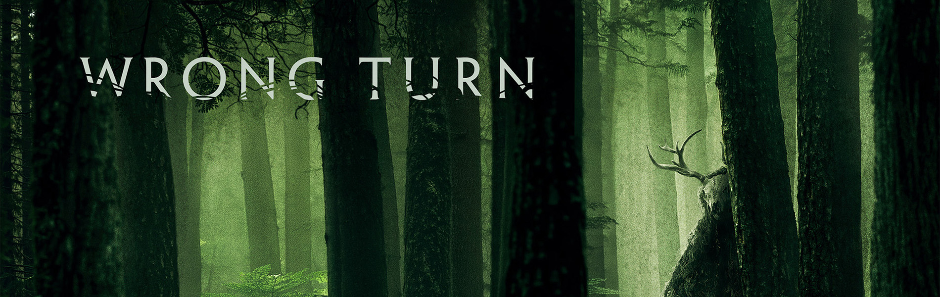 WRONG TURN